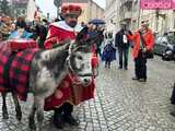 [FOTO, VIDEO] Trzej królowie z osiołkami zawitali do Świdnicy