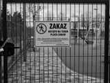 14.07, Świdnica: Wernisaż wystawy fotografii Marka Szulikowskiego 365/2020