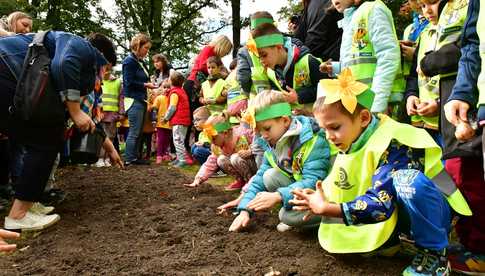 [FOTO] Zasadzili żonkile, które wiosną stworzą żółte Pola Nadziei. Wystartowała VI edycja akcji świdnickiego hospicjum