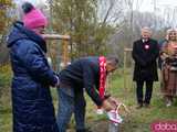 [FOTO] Na Alei Goplany odsłonięto 41 nowych tabliczek. Poświęcone są Zasłużonym dla Miasta i jego Honorowym Obywatelom