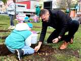 [FOTO] Uczniowie i władze Żarowa wspólnie posadzili żonkile