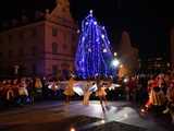 [WIDEO/FOTO] Występy artystyczne i ciepły poczęstunek podczas Wigilii Organizacji Pozarządowych w Świdnicy