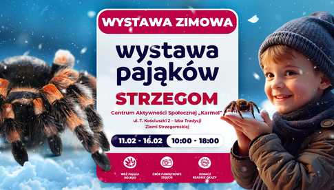 11-16.02, Strzegom: Wystawa Pająków