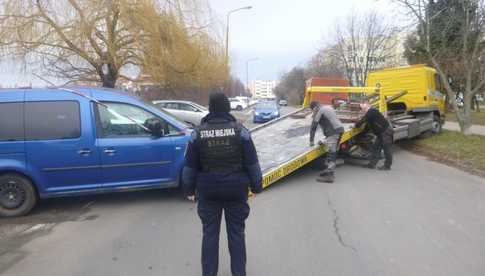 Auto na trawniku, bezdomni i powalone drzewo. Interwencje SM