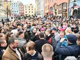 [WIDEO/FOTO] Sławomir Mentzen odwiedził Świdnicę. Tłumy na spotkaniu z kandydatem na Prezydenta RP