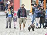 [WIDEO/FOTO] Prawdziwy raj dla łasuchów. Trwa Bajkowy Festiwal Słodkości w Świdnicy