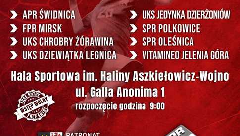 [HARMONOGRAM] Zbliża się święto piłki ręcznej w Świdnicy