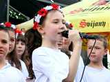 [FOTO] Piknik z historią w tle. Na wzgórzu Wieżyca upamiętniono 280. rocznicę bitwy pod Dobromierzem