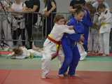 [FOTO] Upamiętnili Edwarda Brzegowego w duchu sportowej rywalizacji podczas XXIII Międzynarodowego Memoriału Judo w Strzegomiu