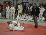 [FOTO] Upamiętnili Edwarda Brzegowego w duchu sportowej rywalizacji podczas XXIII Międzynarodowego Memoriału Judo w Strzegomiu