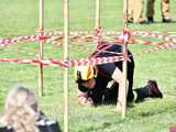 [FOTO] Jednostki OSP rywalizowały w Gminnych Zawodach Sportowo-Pożarniczych w Kalnie