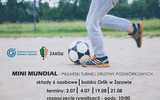 4.07 i inne terminy, Żarów: Mini Mundial - Piłkarski Turniej Drużyn Podwórkowych