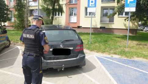 Zagubiony senior w piwnicy przy katedrze, miłośnicy napojów wyskokowych w przestrzeni publicznej i wyciek oleju [INTERWENCJE STRAŻY MIEJSKIEJ]