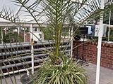 szczawno-zdrój