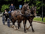 [FOTO] VII Międzynarodowy Konkurs Tradycyjnego Powożenia