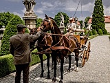 [FOTO] VII Międzynarodowy Konkurs Tradycyjnego Powożenia