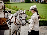 [FOTO] VII Międzynarodowy Konkurs Tradycyjnego Powożenia