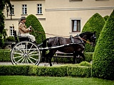 [FOTO] VII Międzynarodowy Konkurs Tradycyjnego Powożenia