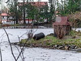 Kolejna duża inwestycja w Szczawnie-Zdroju dobiega końca. Ogród różany i plac zabaw w Parku Szwedzkim niebawem bbędą gotowe