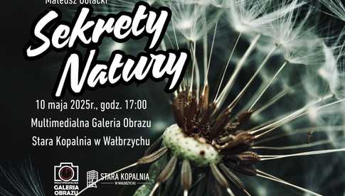 grafika