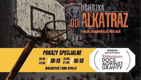 grafika