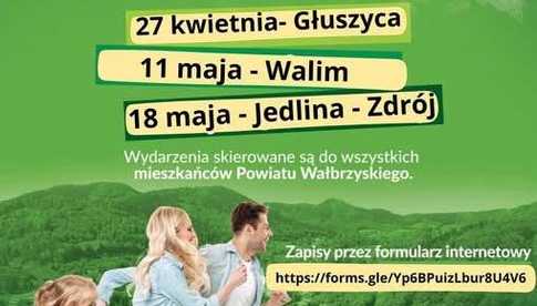 grafika