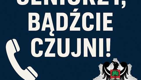 grafika