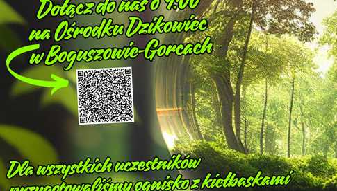grafika