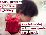 grafika