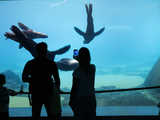 galeria