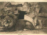 galeria