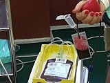 Oddali krew dla Rozalki