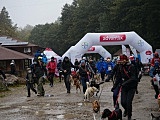 Puchar Polski w Dogtrekkingu w Złotym Stoku