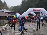 Puchar Polski w Dogtrekkingu w Złotym Stoku