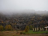 Puchar Polski w Dogtrekkingu w Złotym Stoku