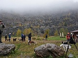 Puchar Polski w Dogtrekkingu w Złotym Stoku