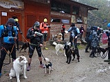 Puchar Polski w Dogtrekkingu w Złotym Stoku