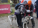 Puchar Polski w Dogtrekkingu w Złotym Stoku