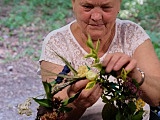 [FOTO] Noc Świętojańska, czyli powitanie lata w tradycji ludowej w Ziębicach