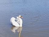 Zawody wędkarskie w Ciepłowodach za nami [Foto]