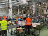 Nowa fabryka hiszpańskiej firmy Persan otwarta w gminie Miękinia 