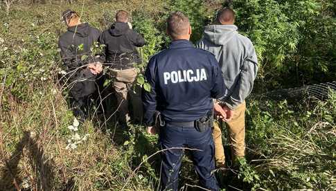 3071 gramów marihuany w rękach policji: Policjanci z Kamieńca Ząbkowickiego zlikwidowali plantację marihuany