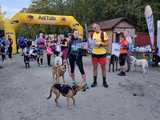 [FOTO] 230 zawodników, setki łap – podsumowanie finałowego biegu Pucharu Polski w Dogtrekkingu