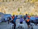 [FOTO] 230 zawodników, setki łap – podsumowanie finałowego biegu Pucharu Polski w Dogtrekkingu