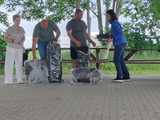 [FOTO] 5 dni rywalizacji i ponad 130 kilogramów złowionej ryby podczas 14. edycji Frankenstein Carp Meeting