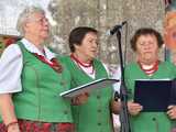 [FOTO, WIDEO] Tradycję trzeba pielęgnować Za nami XXVIII edycja Wojewódzkiego Festiwalu Zespołów Artystycznych KGW w Stolcu