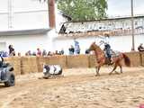[FOTO] Rodeo w Kamieńcu Ząbkowickim? Tak, to możliwe! Cóż to był za western