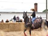 [FOTO] Rodeo w Kamieńcu Ząbkowickim? Tak, to możliwe! Cóż to był za western