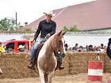 [FOTO] Rodeo w Kamieńcu Ząbkowickim? Tak, to możliwe! Cóż to był za western