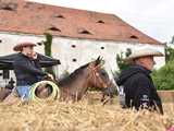 [FOTO] Rodeo w Kamieńcu Ząbkowickim? Tak, to możliwe! Cóż to był za western